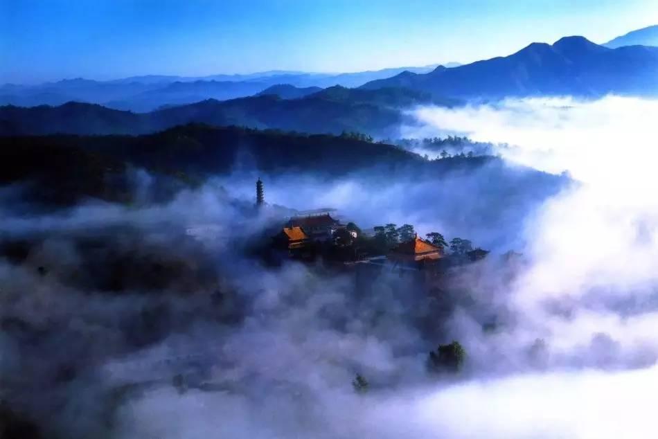 虫虫助手下载